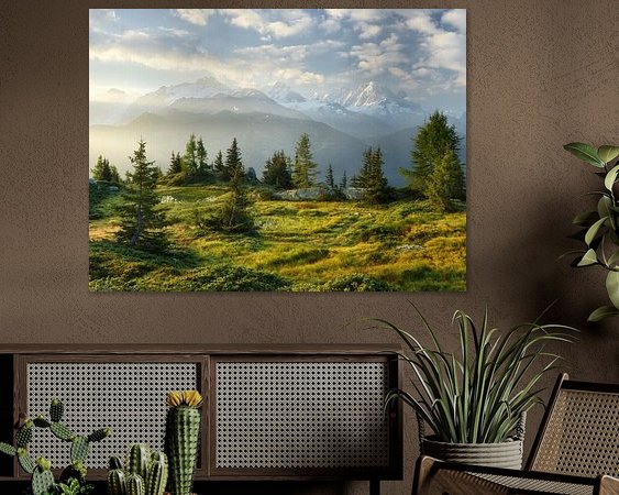 Aperçu de la chambre