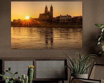 Magdeburg Sonnenuntergang