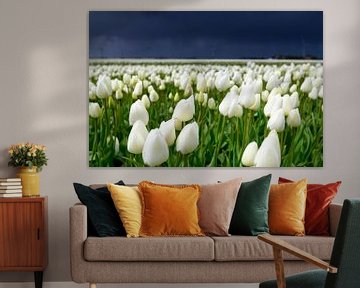 Tulipes dans une tempête de printemps fleurissant dans un champ sur Sjoerd van der Wal Photographie