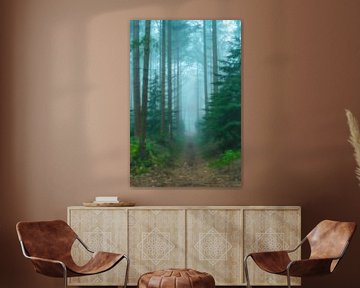 View in a foggy pine tree landscape during a beautiful fall day