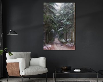 Forêt de pins d'hiver pendant une journée froide d'hiver avec une couche fine sur Sjoerd van der Wal Photographie