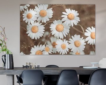 Daisies in vintage brown tones | Photography of spring flowers by Denise Tiggelman