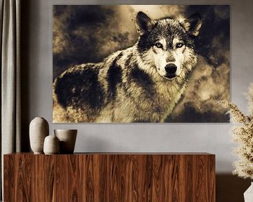 Wolf van Mateo