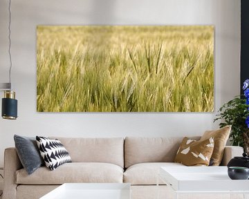 Grain field in spring by Werner Lehmann