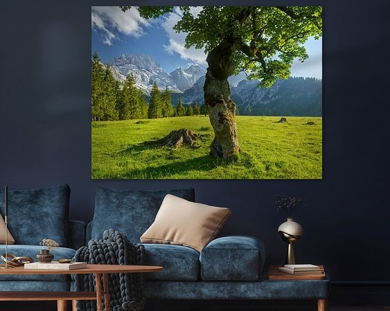 Aperçu de la chambre