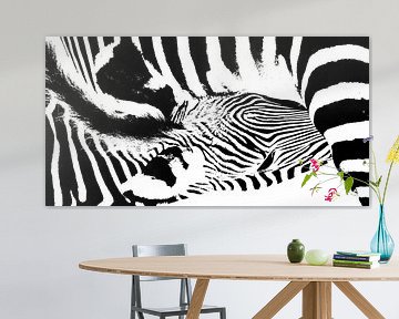 Zebra moeder en haar veulen zwart wit van Werner Lehmann
