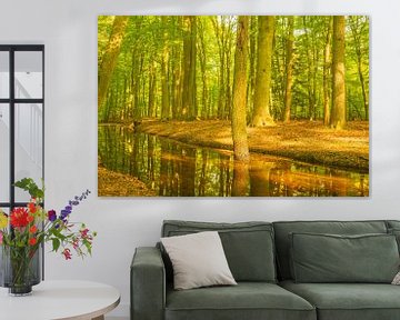 Ein Bach in einem hellgrünen Wald an einem frühen Frühlingsmorgen von Sjoerd van der Wal Fotografie