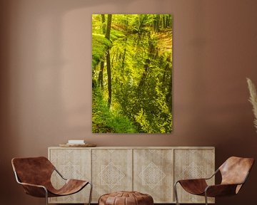 Stream in a bright green forest during an early springtime morning