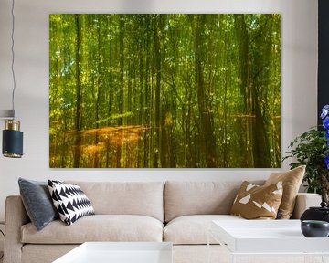 Stream in a bright green forest during an early springtime morning by Sjoerd van der Wal Photography