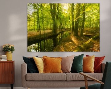 Stream in a bright green forest during an early springtime morning by Sjoerd van der Wal Photography