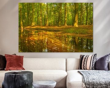 Stream in a bright green forest during an early springtime morning