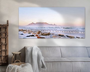 Seagulls on the beach and Table Mountain in Cape Town at sunrise by Werner Lehmann