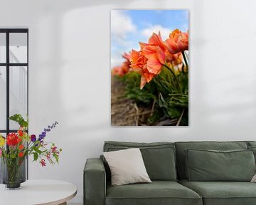 Orangefarbene Tulpen von Richard Guijt Photography