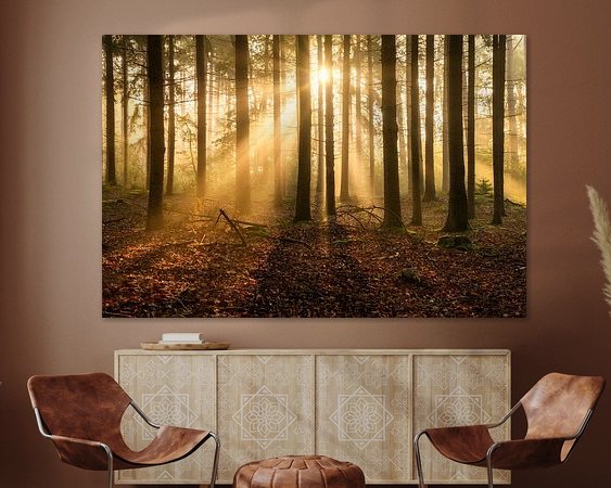 Voorbeeld van het werk in een kamer