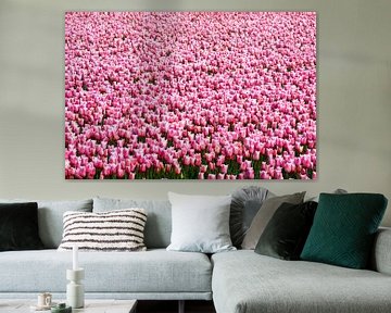 Tulpen by Bob Bleeker