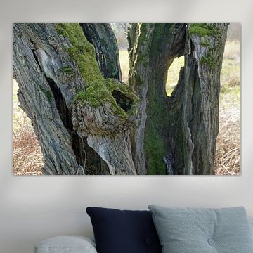 Wanted holes hollowed out in the old bun