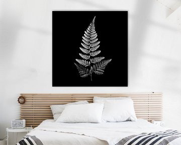 Fern Leaf by Vers Licht Fotografie