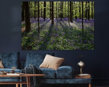 Bluebell carpet in the Hallerbos sur Bart van Dinten