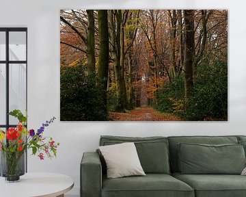 Herbst auf der Veluwe in dieser schönen Gasse bei Uddelermeer von Esther Wagensveld