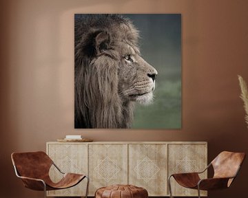 Portret van een leeuw vanaf de zijkant van Barbara Kempeneers