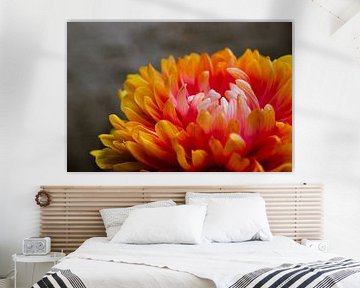 Photo colorée d'un gros plan d'une fleur sur Crystal Clear