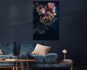 Close-up of a Geranium by Crystal Clear