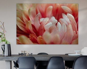 Makro Photo of a Dahlia Flower by Crystal Clear