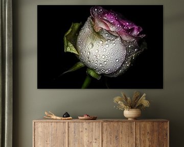 Vintage Rose Sparkling Beauty by marlika art