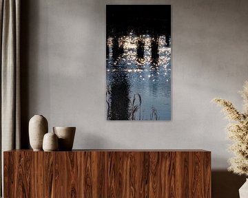 Frühlingssonne von Jan van der Knaap