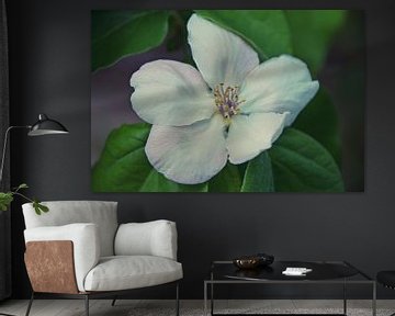 Quite Flower by Werner Lehmann