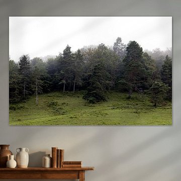 Nebliger Morgen in den Bergen