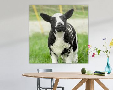 Portret van een schattig klein lammetje in een groen grasveld. van Leoniek van der Vliet