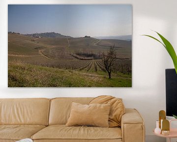 View of hills with grape fields in Piedmont, Italy in winter by Joost Adriaanse