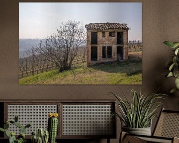 Oude schuur en wijngaard in Piemonte, Italië