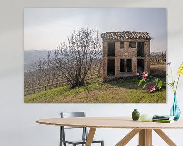 Oude schuur en wijngaard in Piemonte, Italië van Joost Adriaanse