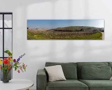 Vineyard in Piedmont in panorama by Joost Adriaanse