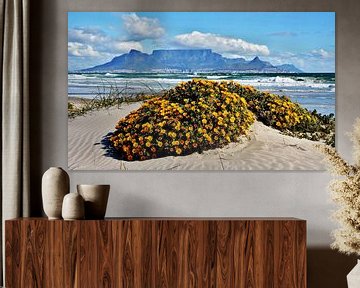 Dune flowers and Table Mountain in Cape Town by Werner Lehmann