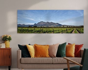 Vineyards and mountains in the Cape Winelands in Stellenbosch by Werner Lehmann