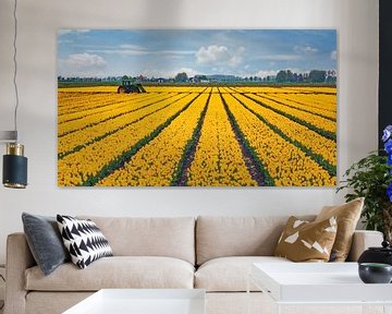 Geel tulpenveld van Jan van der Knaap