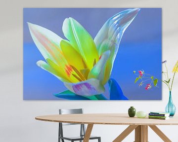 Frisse kleurrijke tulpen kunst van Jolanda de Jong-Jansen