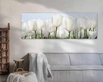 Weiße Tulpen sur Franke de Jong