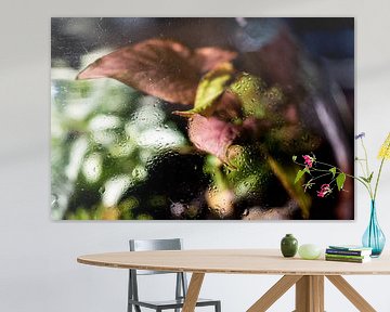 Photo macro d'une plante vert pourpre avec des gouttes d'eau sur Robrecht Kruft