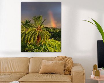 A rainbow and palm trees