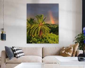 Un arc-en-ciel et des palmiers