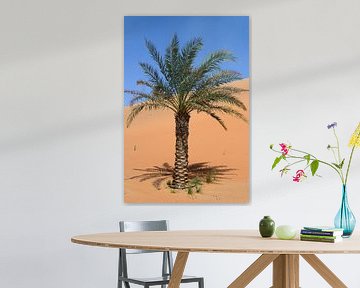 Palmboom in de woestijn