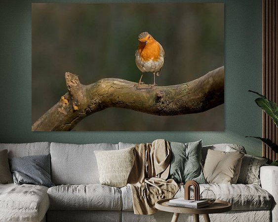 Aperçu de la chambre