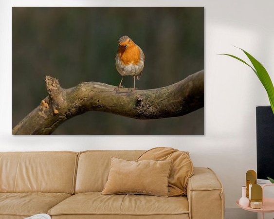 Aperçu de la chambre