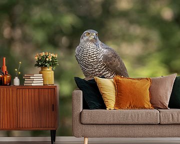 Hawk on the lookout by Tanja van Beuningen