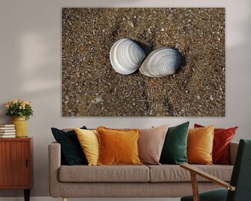 Love shells on the beach. by Jurjen Jan Snikkenburg