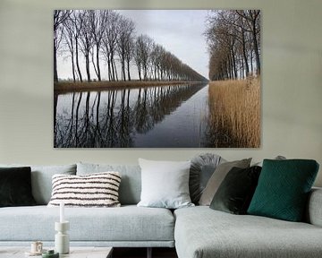 Tree-row reflects in Damse Vaart north by wil spijker
